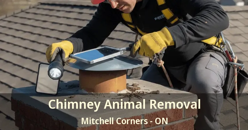 Chimney Animal Removal Mitchell Corners - ON