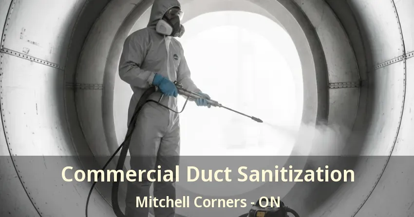 Commercial Duct Sanitization Mitchell Corners - ON